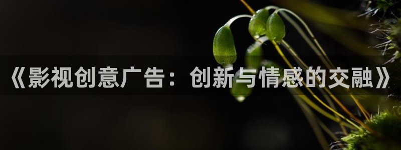 沉浸式轨道影院