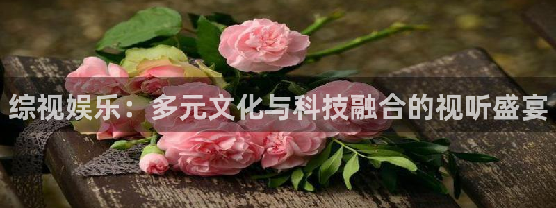 轨道影院投资：综视娱乐：多元文化与科技融合的视听盛宴