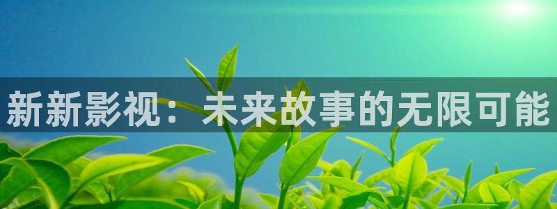 轨道影院投资：新新影视：未来故事的无限可能