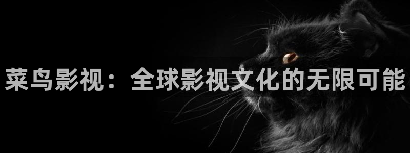轨道5d影院：菜鸟影视：全球影视文化的无限可能
