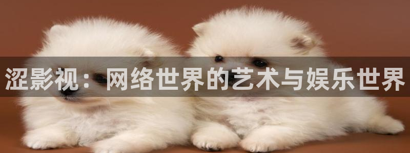 轨道影院厂：涩影视：网络世界的艺术与娱乐世界