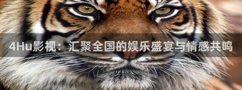元宇宙轨道飞行影院：4Hu影视：汇聚全国的娱乐盛宴与情感共鸣
